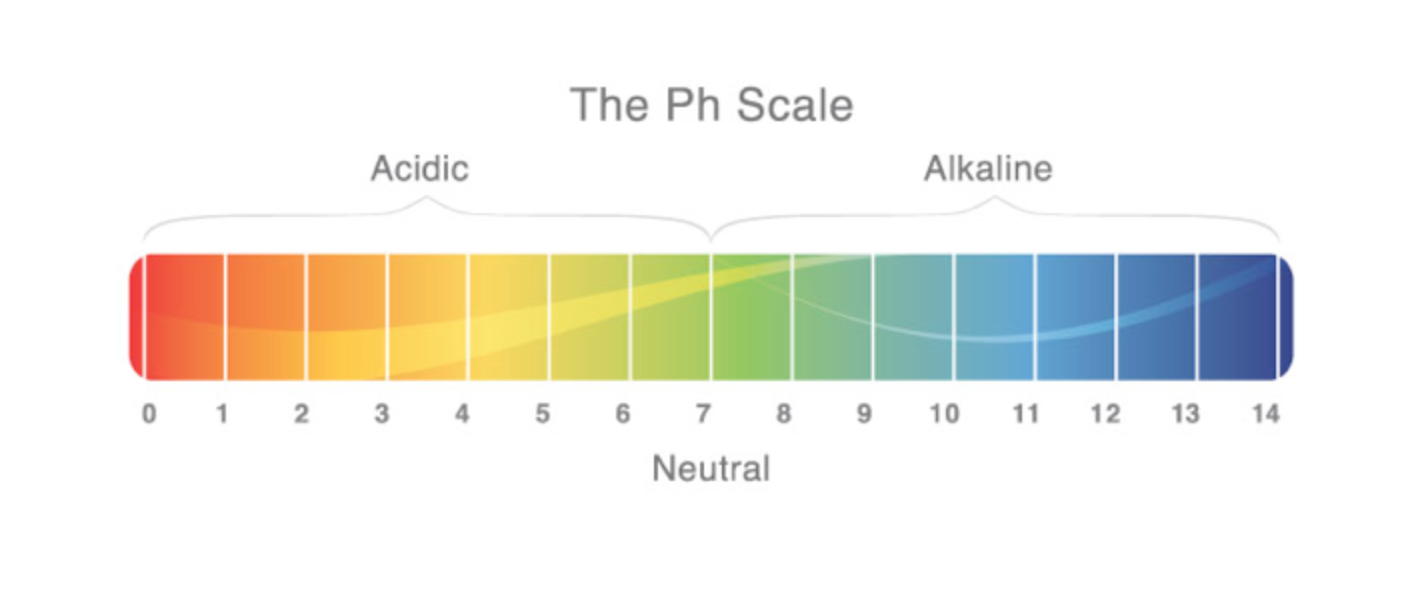 BODY PH: WHAT IS YOURS AND WHY IS IT IMPORTANT?