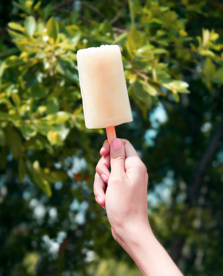 HEALTHY KID-FRIENDLY POPSICLES